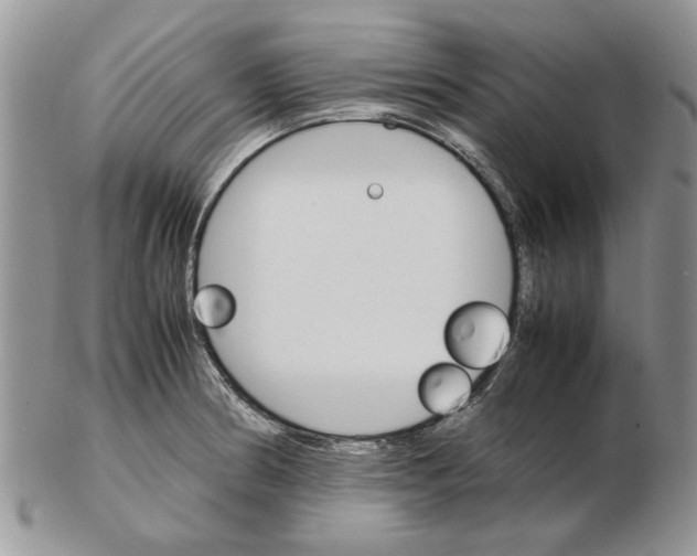 X0000102261186200808221408