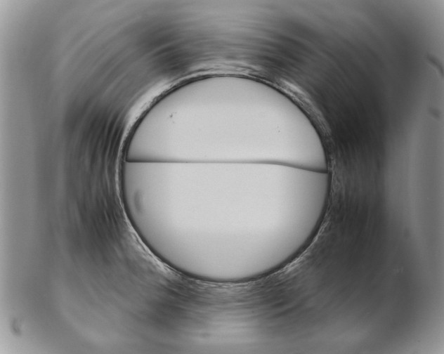 X0000102261188200808221408