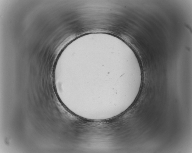 X0000102261189200808221408