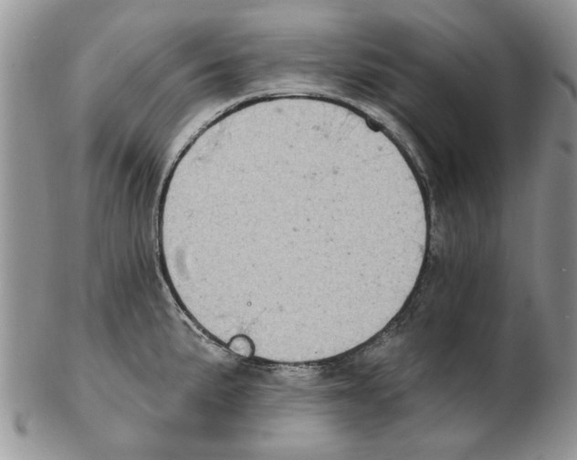 X0000102261191200808221408