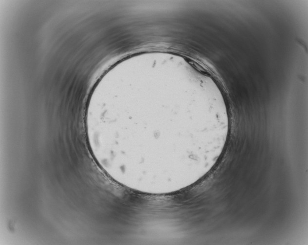 X0000102261192200808221408