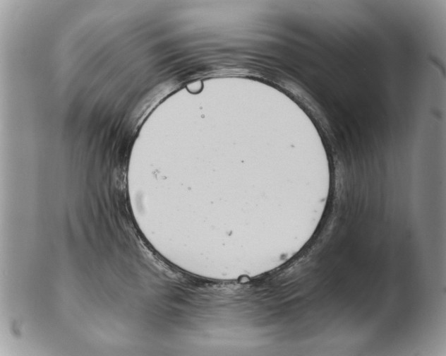 X0000102261193200808221408