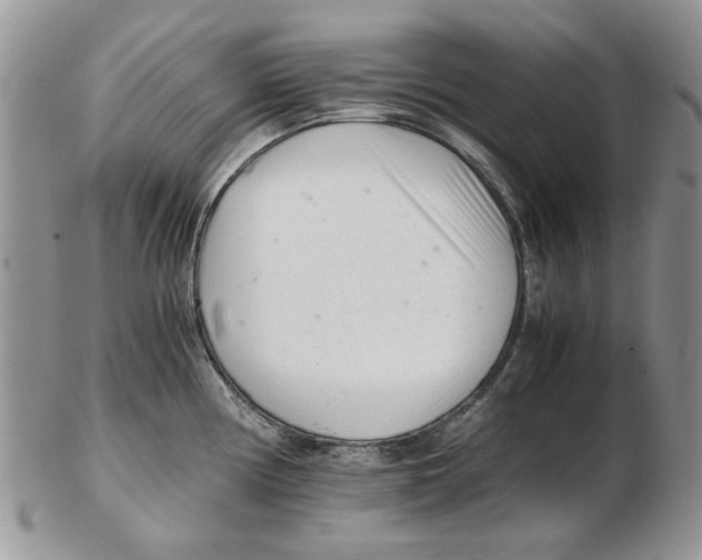 X0000102261194200808221408