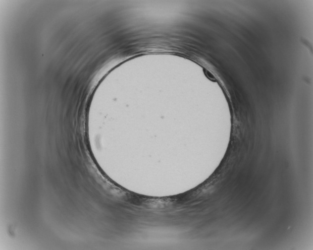 X0000102261195200808221408