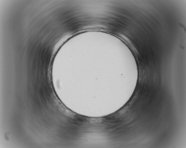 X0000102261196200808221408