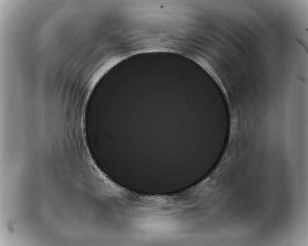 X0000102261197200808221408