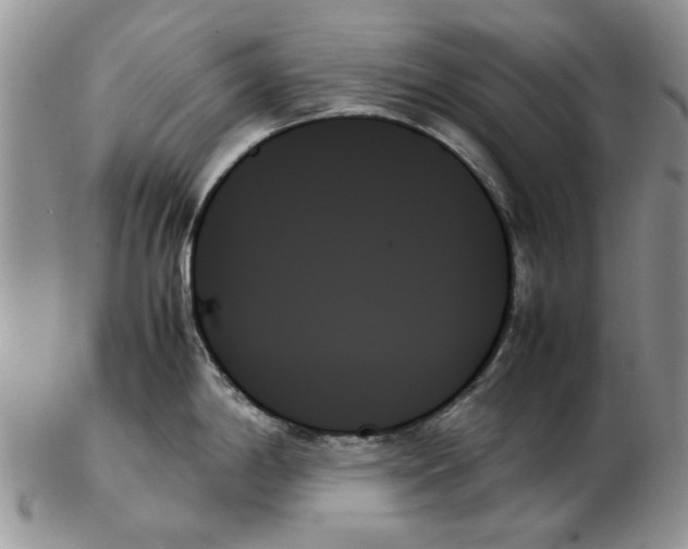 X0000102261198200808221408