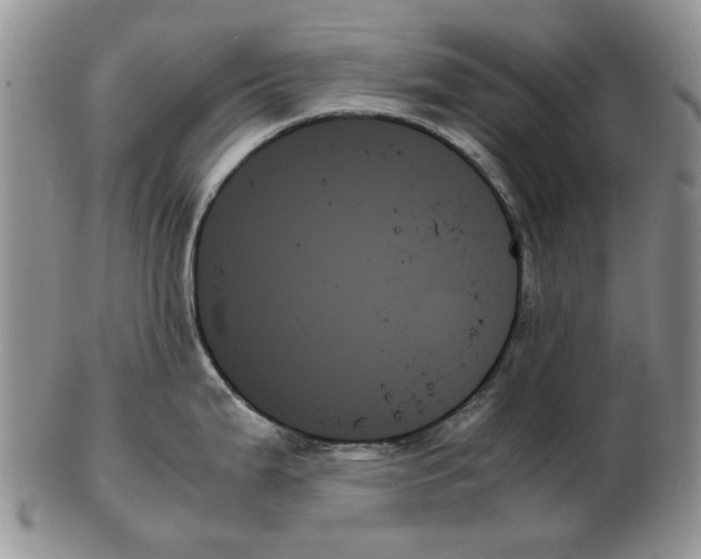 X0000102261199200808221408