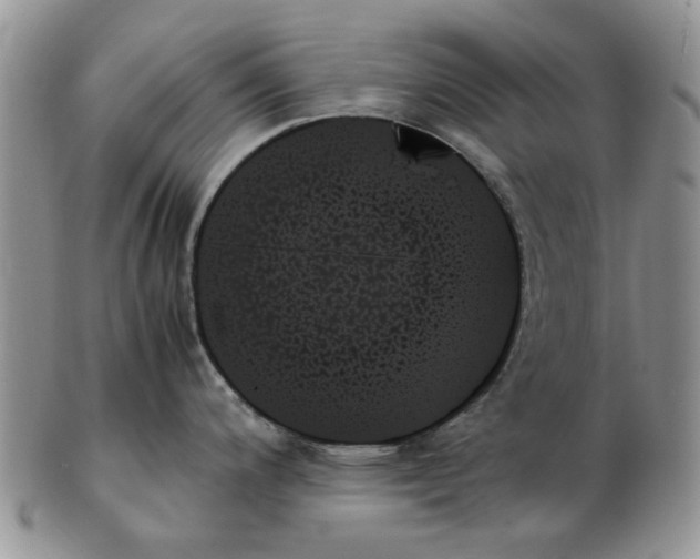 X0000102261200200808221408