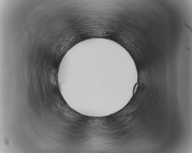 X0000102261202200808221407