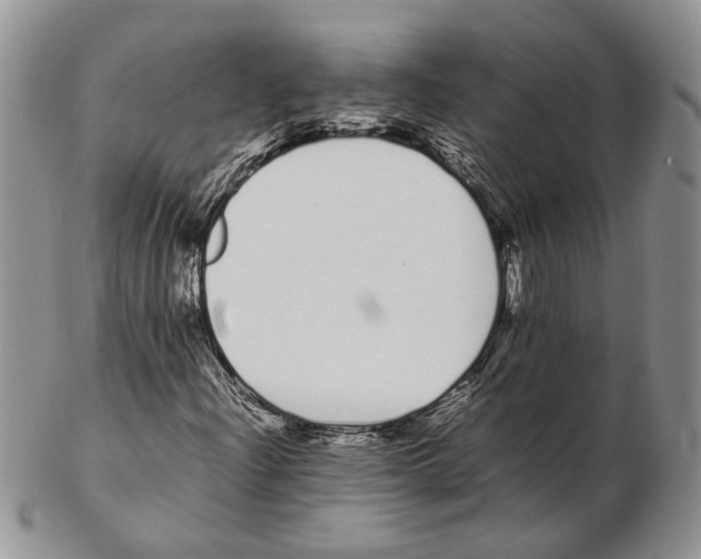 X0000102261204200808221407