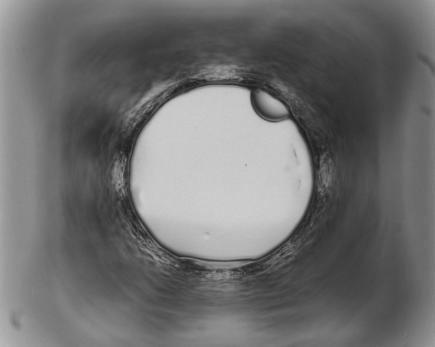 X0000102261206200808221407