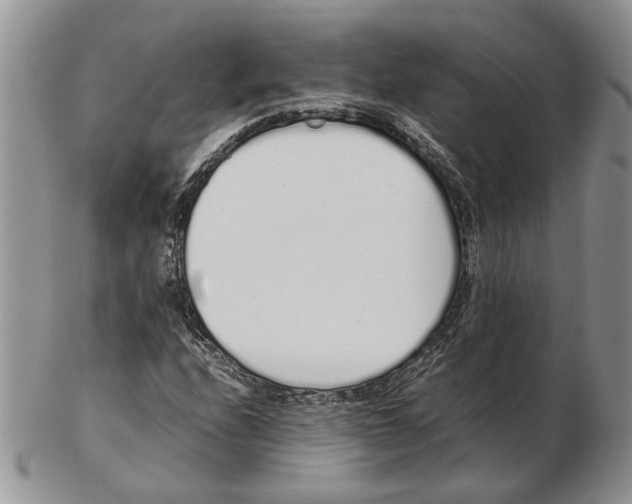 X0000102261208200808221407