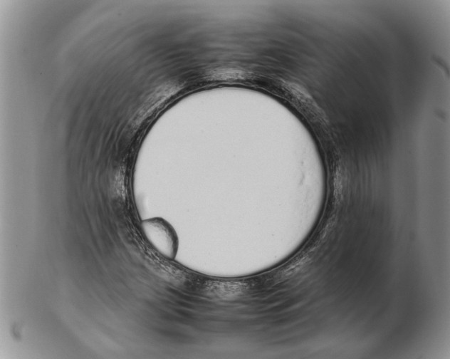 X0000102261209200808221407