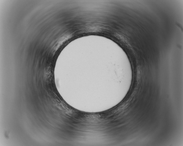 X0000102261210200808221407