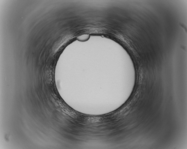 X0000102261211200808221407