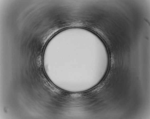 X0000102261212200808221407