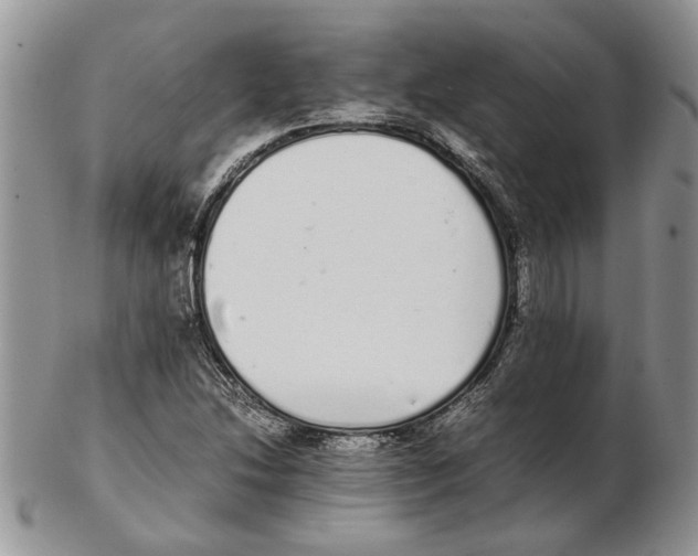 X0000102261214200808221407