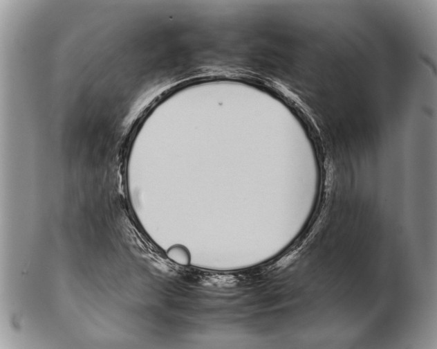 X0000102261215200808221407