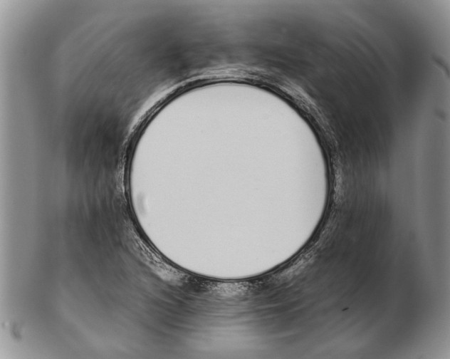 X0000102261216200808221407