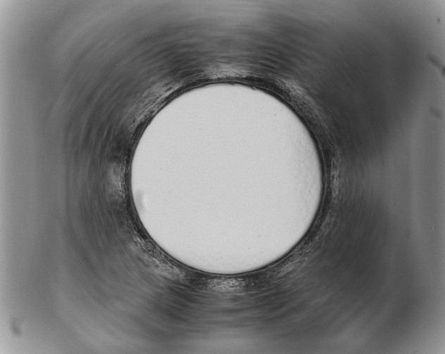 X0000102261217200808221407