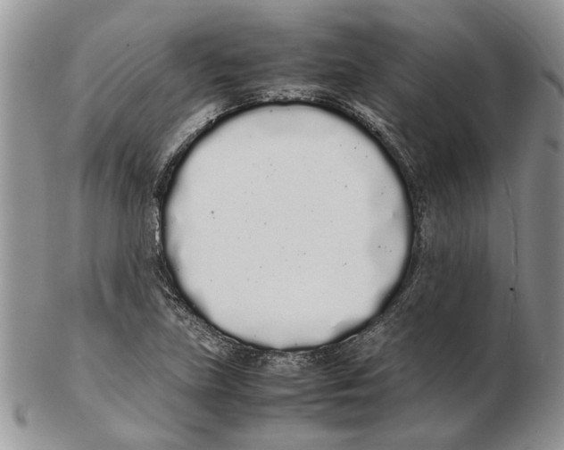 X0000102261219200808221407