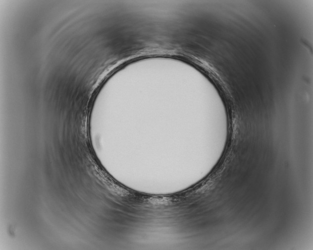 X0000102261220200808221407