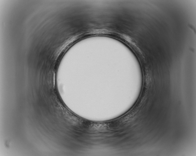 X0000102261221200808221407