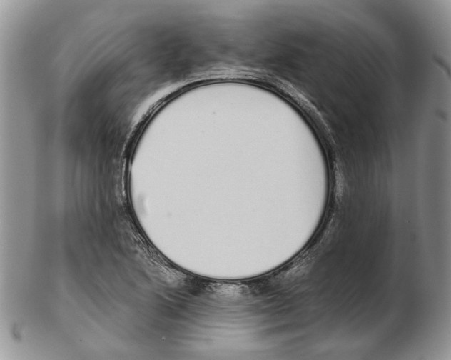 X0000102261222200808221407