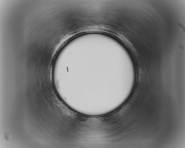 X0000102261224200808221408
