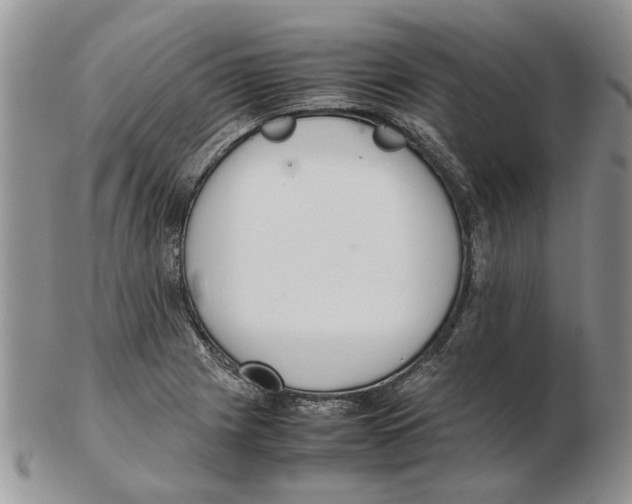 X0000102261225200808221408