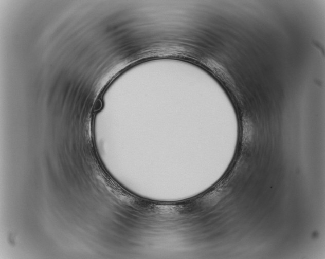 X0000102261226200808221408