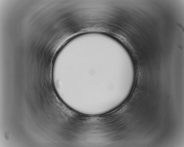 X0000102261228200808221408