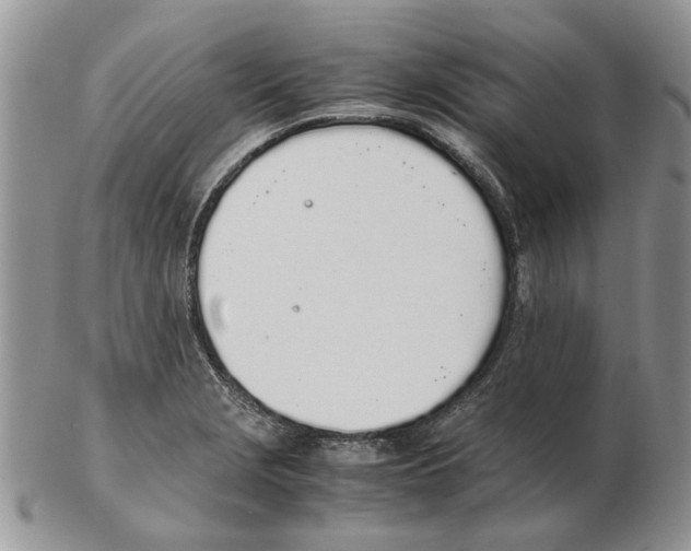 X0000102261229200808221408