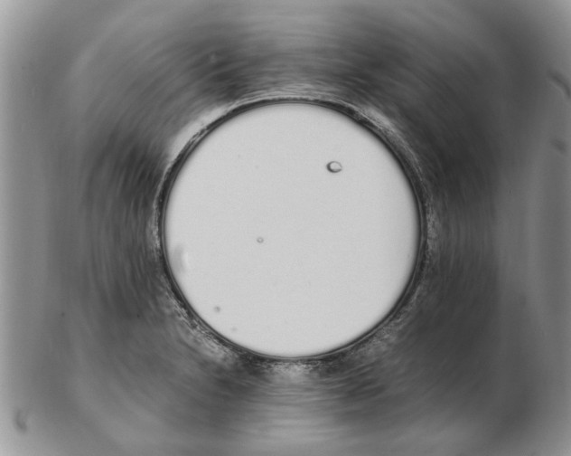 X0000102261230200808221408