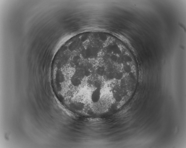 X0000102261231200808221408