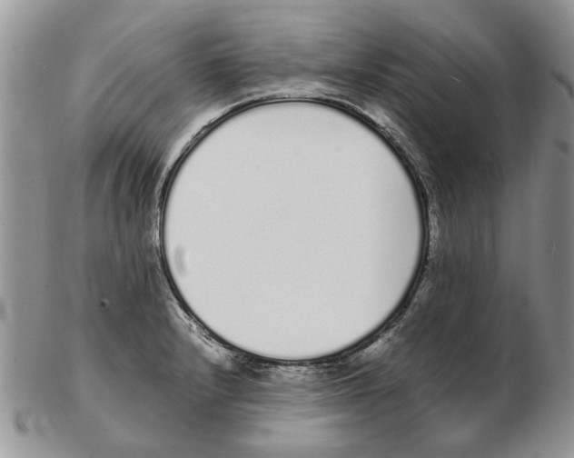 X0000102261232200808221408