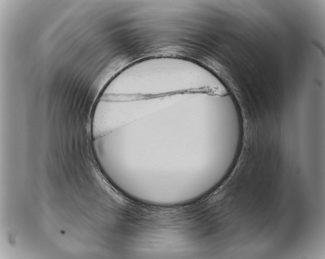X0000102261234200808221408