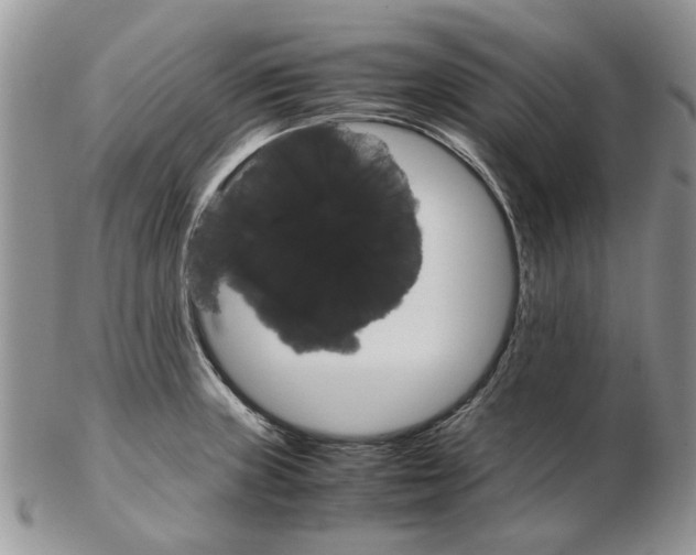 X0000102261235200808221408