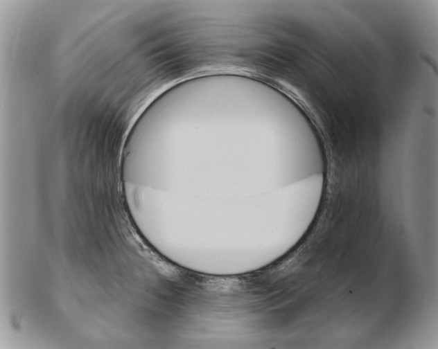 X0000102261236200808221408