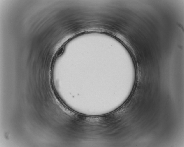 X0000102261237200808221408