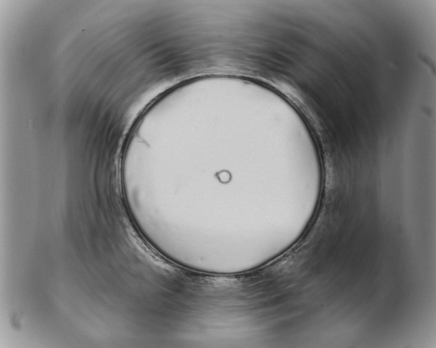 X0000102261238200808221408