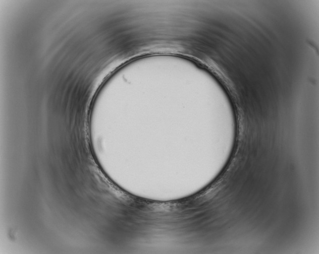 X0000102261240200808221408