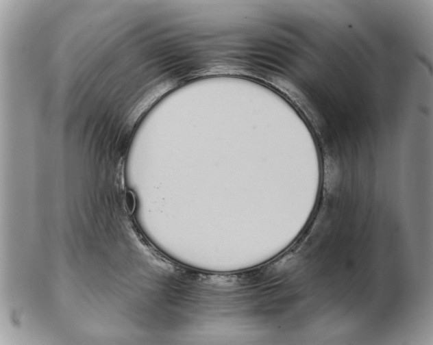 X0000102261241200808221408