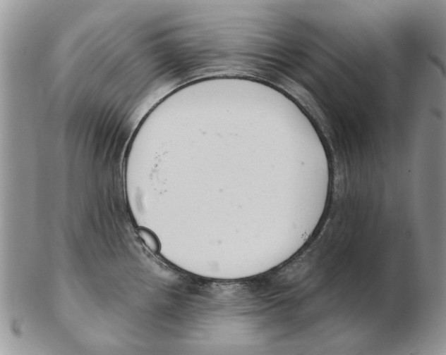 X0000102261242200808221408