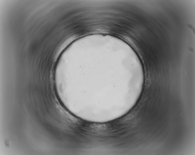 X0000102261243200808221408