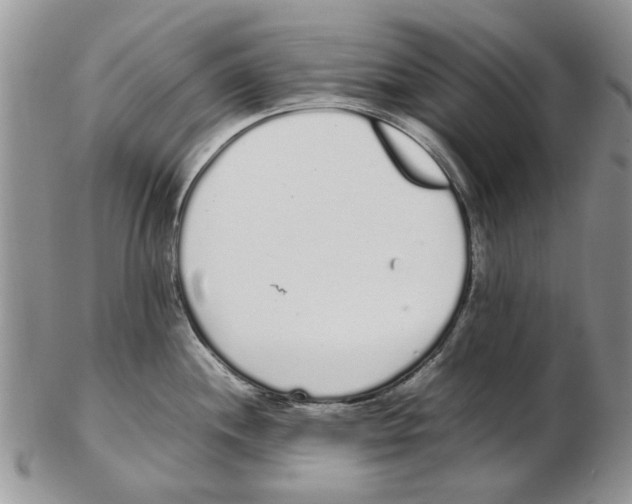 X0000102261244200808221408