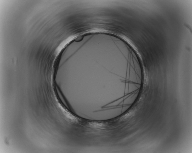 X0000102261245200808221408