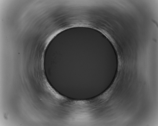 X0000102261246200808221408