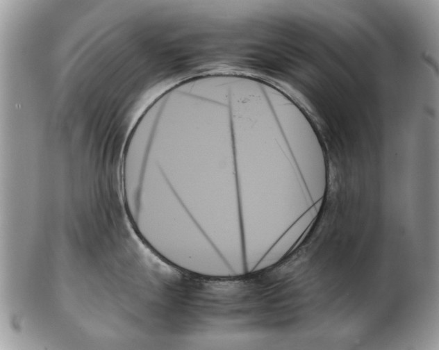 X0000102261247200808221408
